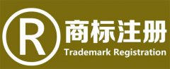 国际商标注册申请书应该如何填写？有哪些要求？